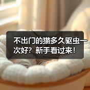 不出门的猫多久驱虫一次好？新手看过来！（图2）