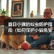 夏日小猫的蚊虫防护指南（如何保护小猫免受蚊虫叮咬的伤害？）（图3）