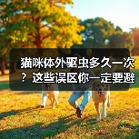 猫咪体外驱虫多久一次？这些误区你一定要避开！（图1）