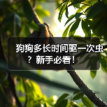 狗狗多长时间驱一次虫？新手必看！（图2）