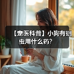 【宠医科普】小狗有蛔虫用什么药？（图1）