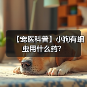 【宠医科普】小狗有蛔虫用什么药？（图2）