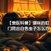 【宠医科普】猫咪的肛门爬出白色虫子怎么办？（图2）