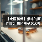 【宠医科普】猫咪的肛门爬出白色虫子怎么办？（图1）