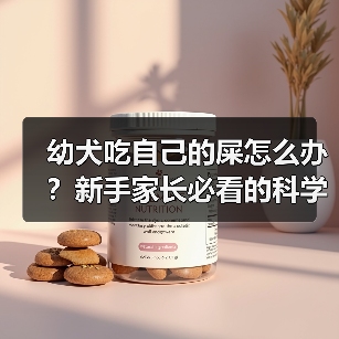 幼犬吃自己的屎怎么办?新手家长必看的科学纠正指南(图3) 幼犬吃自己的屎怎么办?新手家长必看的科学纠正指南(图3)
