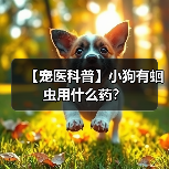 【宠医科普】小狗有蛔虫用什么药？（图3）