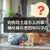 狗狗吃土是怎么回事？揭秘背后原因和科学应对方法