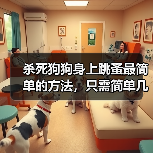 杀死狗狗身上跳蚤最简单的方法，只需简单几步！（图1）