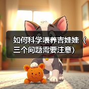 如何科学喂养吉娃娃(三个问题需要注意)(图4) 如何科学喂养吉娃娃(三个问题需要注意)(图4)