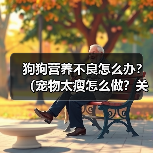 狗狗营养不良怎么办?(宠物太瘦怎么做?关注宠物的饮食健康!)(图4) 狗狗营养不良怎么办?(宠物太瘦怎么做?关注宠物的饮食健康!)(图4)