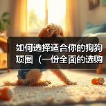 如何选择适合你的狗狗项圈（一份全面的选购指南，让宠物狗的生活更舒适）