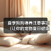 夏季狗狗喂养注意事项(让你的宠物夏日健康无忧)(图4) 夏季狗狗喂养注意事项(让你的宠物夏日健康无忧)(图4)