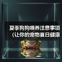 夏季狗狗喂养注意事项（让你的宠物夏日健康无忧）