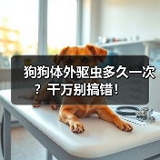 狗狗体外驱虫多久一次？千万别搞错！（图4）