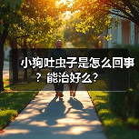 小狗吐虫子是怎么回事？能治好么？（图3）