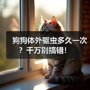 狗狗体外驱虫多久一次？千万别搞错！
