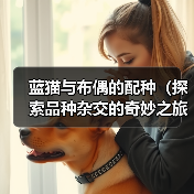 蓝猫与布偶的配种（探索品种杂交的奇妙之旅）