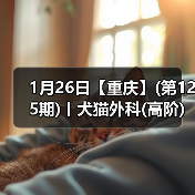 1月26日【重庆】(第125期)丨犬猫外科(高阶)班！含SUB(人人可实操)、乳糜胸等技术！