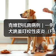 克维舒抗菌病例 | 一例犬跳蚤叮咬性皮炎（FAD）的病例分析（图4）