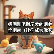 德国刚毛指示犬的饲养全指南(让你成为优秀的犬主人)(图4) 德国刚毛指示犬的饲养全指南(让你成为优秀的犬主人)(图4)