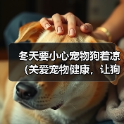 冬天要小心宠物狗着凉(关爱宠物健康,让狗狗过一个温暖的冬天)(图4) 冬天要小心宠物狗着凉(关爱宠物健康,让狗狗过一个温暖的冬天)(图4)