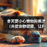 冬天要小心宠物狗着凉(关爱宠物健康,让狗狗过一个温暖的冬天)(图3) 冬天要小心宠物狗着凉(关爱宠物健康,让狗狗过一个温暖的冬天)(图3)