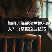 如何训练爱尔兰梗不咬人？（掌握这些技巧，让你的宠物更友善）