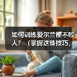 如何训练爱尔兰梗不咬人?(掌握这些技巧,让你的宠物更友善)(图3) 如何训练爱尔兰梗不咬人?(掌握这些技巧,让你的宠物更友善)(图3)