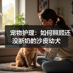 宠物护理：如何照顾还没断奶的沙皮幼犬