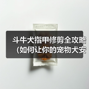 斗牛犬指甲修剪全攻略（如何让你的宠物犬安心完成修剪，避免意外伤害）