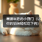 喂猫咪吃药小窍门（让你的猫咪轻松吃下药）