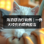 海泊舒治疗病例 | 一例犬咬伤的病例报告