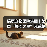 瑞辰宠物医院集团 | 第3周“每周之星”光荣榜（图2）