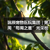 瑞辰宠物医院集团 | 第3周“每周之星”光荣榜