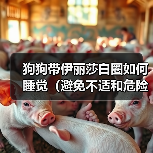狗狗带伊丽莎白圈如何睡觉（避免不适和危险，健康照顾）