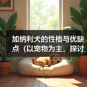 加纳利犬的性格与优缺点(以宠物为主,探讨加纳利犬的特点和适宜养护方式)(图3) 加纳利犬的性格与优缺点(以宠物为主,探讨加纳利犬的特点和适宜养护方式)(图3)
