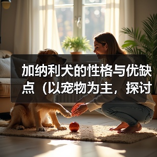 加纳利犬的性格与优缺点(以宠物为主,探讨加纳利犬的特点和适宜养护方式)(图2) 加纳利犬的性格与优缺点(以宠物为主,探讨加纳利犬的特点和适宜养护方式)(图2)