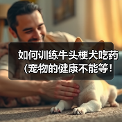 如何训练牛头梗犬吃药(宠物的健康不能等!——以牛头梗犬为例,教您如何让它乖乖吃药)(图4) 如何训练牛头梗犬吃药(宠物的健康不能等!——以牛头梗犬为例,教您如何让它乖乖吃药)(图4)