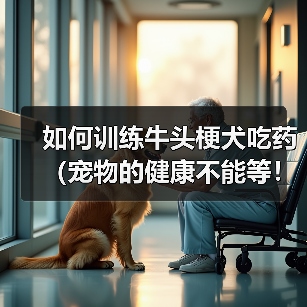 如何训练牛头梗犬吃药（宠物的健康不能等！——以牛头梗犬为例，教您如何让它乖乖吃药）