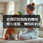 如何识别狗狗的情绪（用心观察，看狗狗的喜怒哀乐）