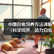 中国白兔饲养方法详解（科学饲养，助力白兔健康成长）