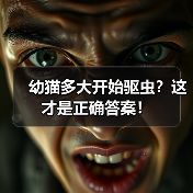 幼猫多大开始驱虫？这才是正确答案！（图4）