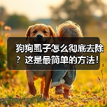 狗狗虱子怎么彻底去除？这是最简单的方法！（图4）