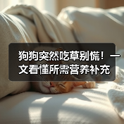 狗狗突然吃草别慌！一文看懂所需营养补充（图3）