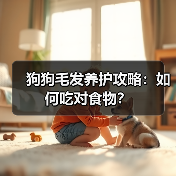 狗狗毛发养护攻略：如何吃对食物？（图1）