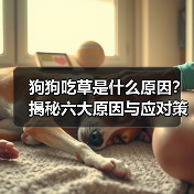 狗狗吃草是什么原因?揭秘六大原因与应对策略(图2) 狗狗吃草是什么原因?揭秘六大原因与应对策略(图2)