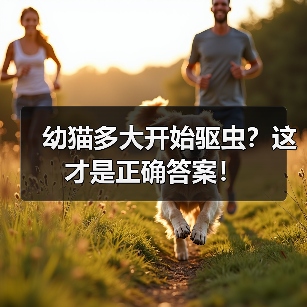 幼猫多大开始驱虫？这才是正确答案！（图3）