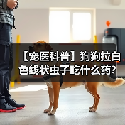 【宠医科普】狗狗拉白色线状虫子吃什么药?(图1) 【宠医科普】狗狗拉白色线状虫子吃什么药?(图1)