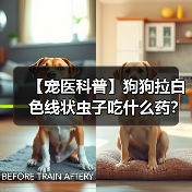 【宠医科普】狗狗拉白色线状虫子吃什么药?(图3) 【宠医科普】狗狗拉白色线状虫子吃什么药?(图3)