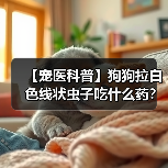 【宠医科普】狗狗拉白色线状虫子吃什么药?(图2) 【宠医科普】狗狗拉白色线状虫子吃什么药?(图2)